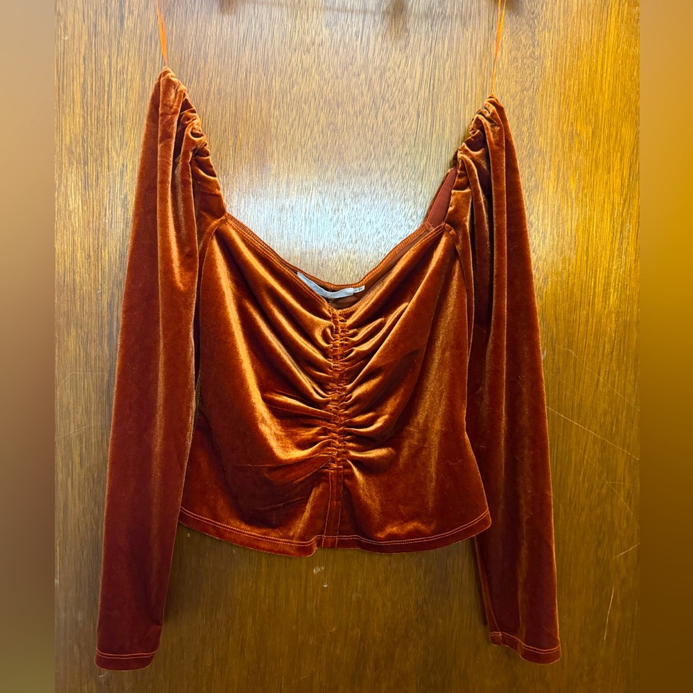 Vanya Ruched Velvet Top by ASTR